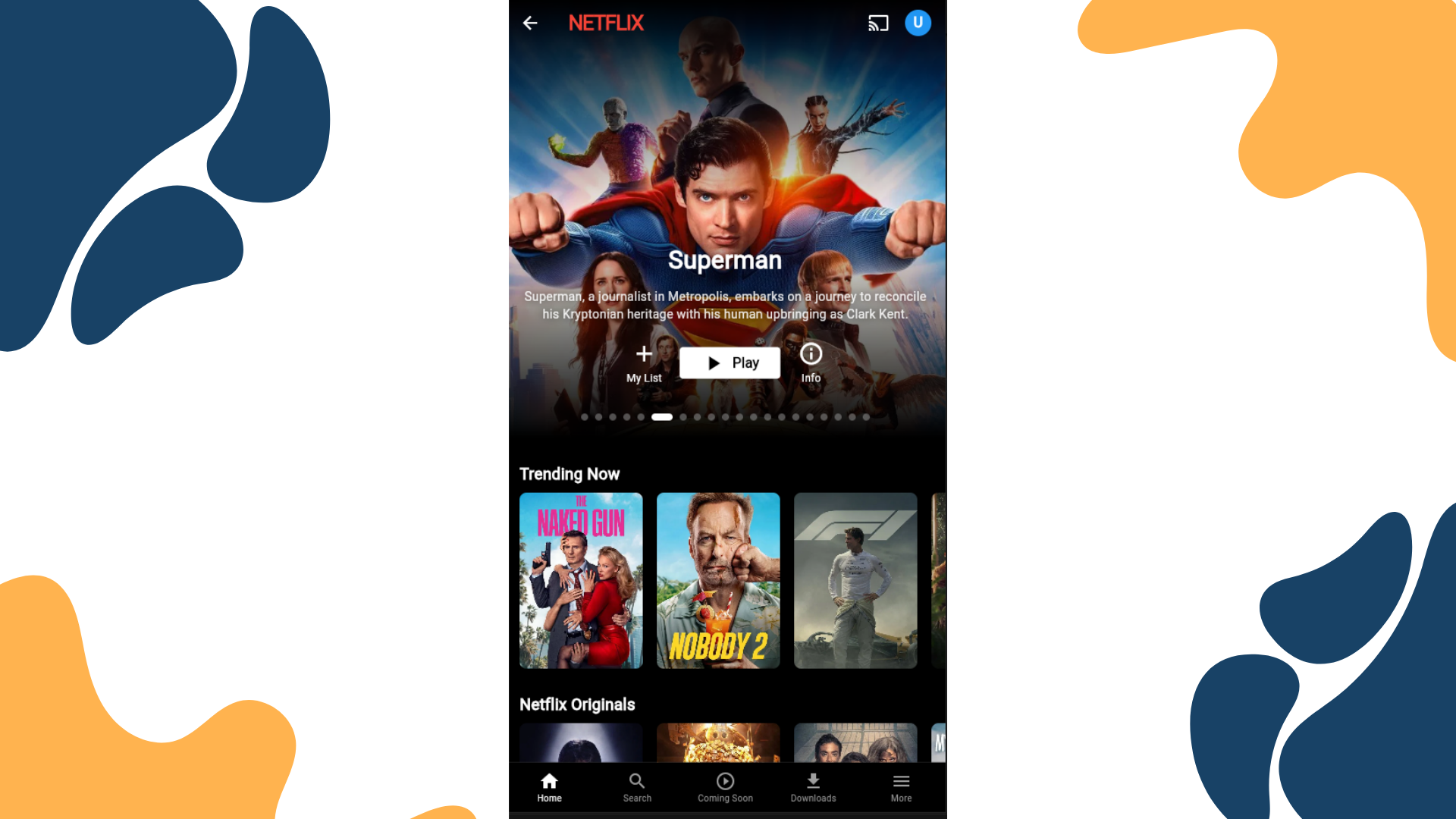 Netflix Application screenshot 3